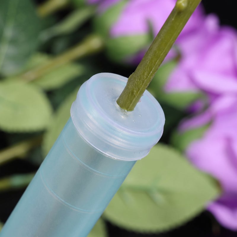 100Pcs Flower Water Tubes Transparent Flower Test Tubes Orchid Tubes with Cap for Flower Arrangements - Image 5
