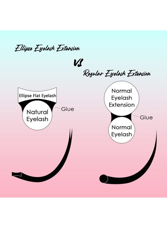 VAVALASH (C - 0.20mm, Length 12mm) - Ellipse Eyelash Extensions 0.20mm C Curl 12mm Flat Eyelash Extension supplies Light Lashes Matte Individual Eyelashes Salon Use Black Mink False Lashes Mink Lashes Exten... - Image 5