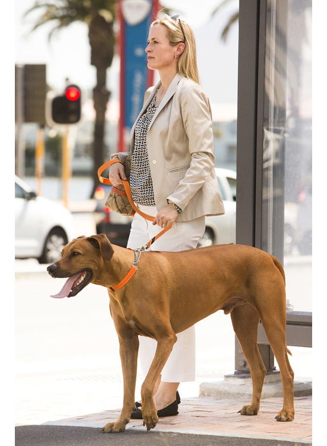 Rogz Reflective Nylon Choke Collar; Slip Show Obedience Training Gentle Choker for Large Dogs, Black - Image 5