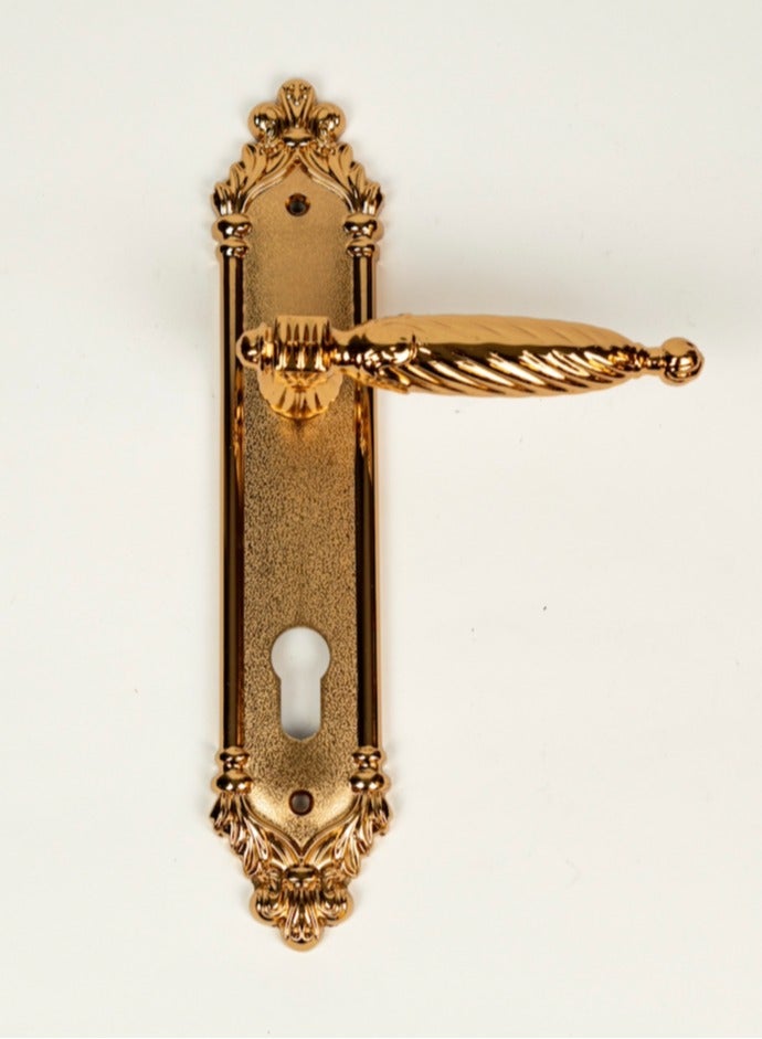 Siag Akad Cylinder Door Handle - Image 1