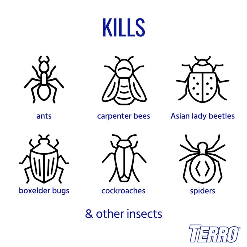 TERRO T1700SR 19 oz Outdoor Ant Killer Spray - Image 2