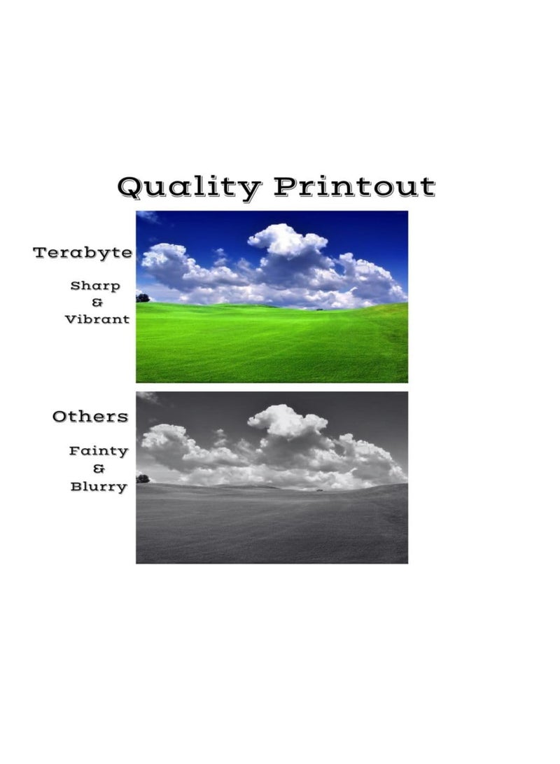 Terabyte 067 Full Combo Set This Compatible toner cartridge is suitable for Printer Canon i-Sensys MF651Cw, MF655Cdw, MF657Cdw, LBP633Cdw, LBP631Cw 067 Black Cyan Magenta Yellow - Image 3