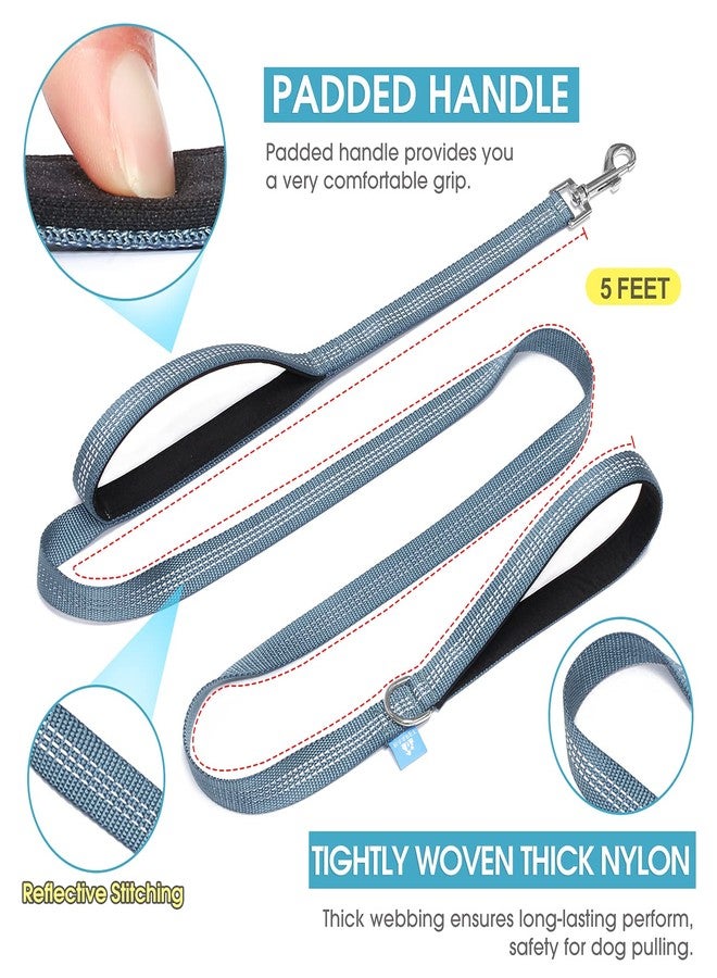 با بِت طوق كلاب BAAPET بمقبضين، مقبضان مبطنان ناعمان مع مقبض للتحكم في حركة المرور، مناسب للكلاب الصغيرة والمتوسطة والكبيرة (1.0 بوصة × 5 أقدام، رمادي) - Image 2