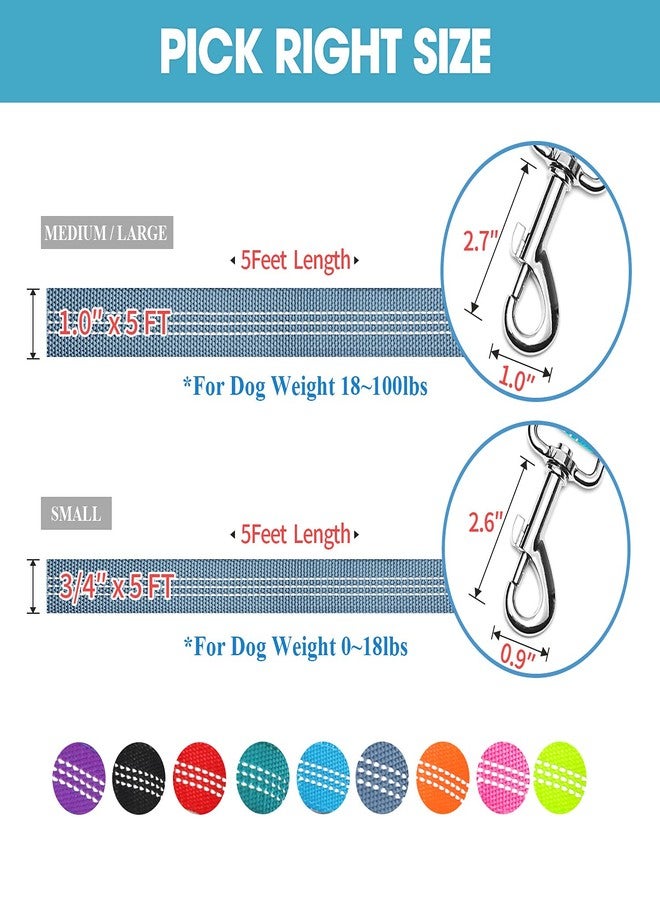 با بِت طوق كلاب BAAPET بمقبضين، مقبضان مبطنان ناعمان مع مقبض للتحكم في حركة المرور، مناسب للكلاب الصغيرة والمتوسطة والكبيرة (1.0 بوصة × 5 أقدام، رمادي) - Image 5