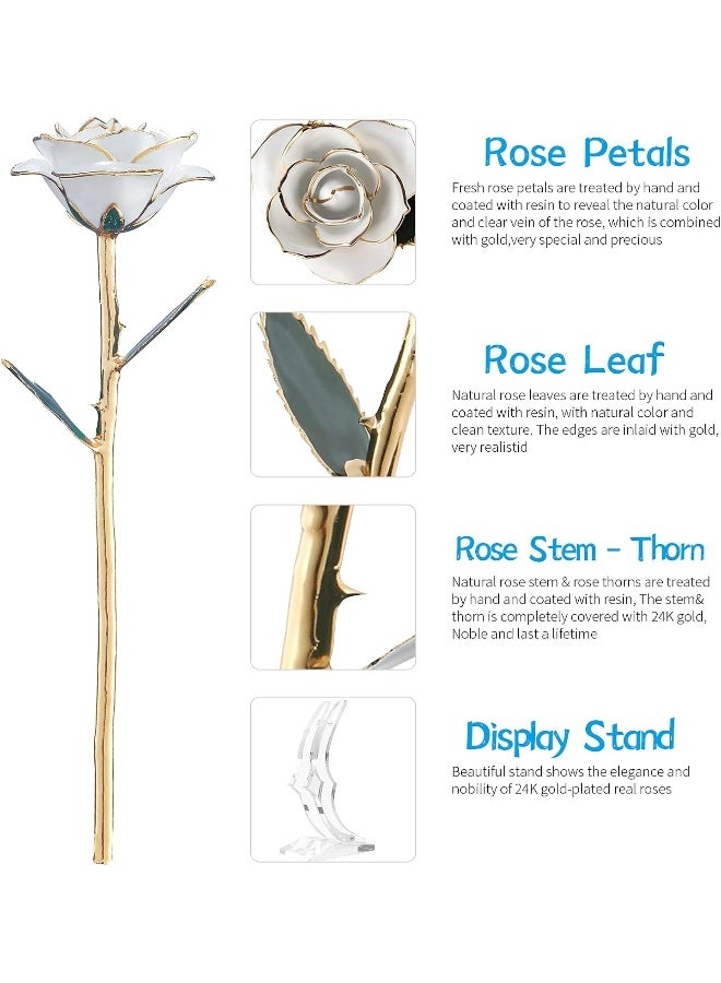 SW White Gold Rose Gifts for Women Wife24k Gold Dipped Real Rose Lasted Forever with Stand for HerChristmasValentines Day Mothers Day Birthday - Image 5
