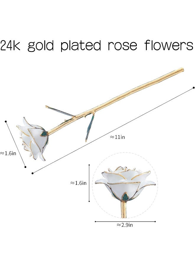 SW White Gold Rose Gifts for Women Wife24k Gold Dipped Real Rose Lasted Forever with Stand for HerChristmasValentines Day Mothers Day Birthday - Image 3