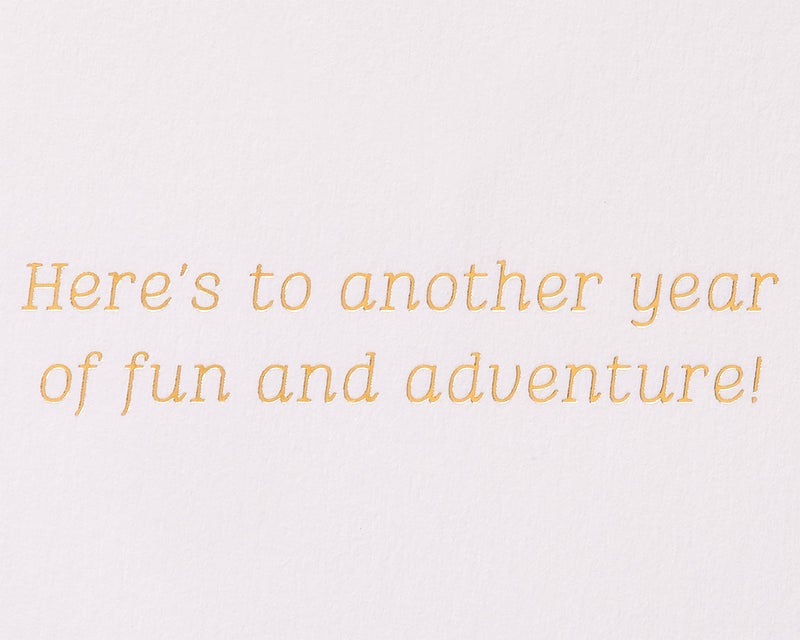 Papyrus Anniversary Card - Designed by House of Turnowsky (Another Year of Fun) - Image 3