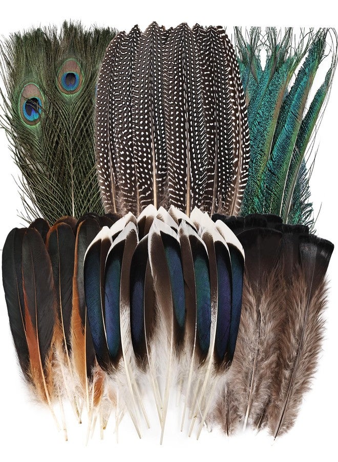 FeelfunFeather Pheasant Feathers -50pcs 6 Style Natural Mixed Decorative Spotted Feathers for DIY Crafts Wedding Home Party Decoration - Image 1