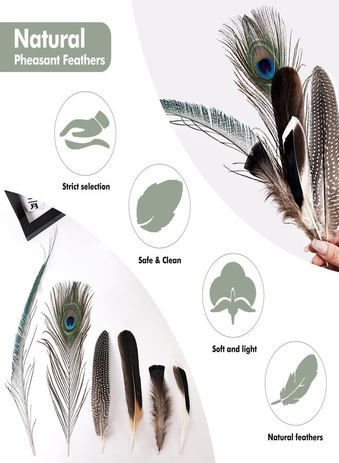FeelfunFeather Pheasant Feathers -50pcs 6 Style Natural Mixed Decorative Spotted Feathers for DIY Crafts Wedding Home Party Decoration - Image 3