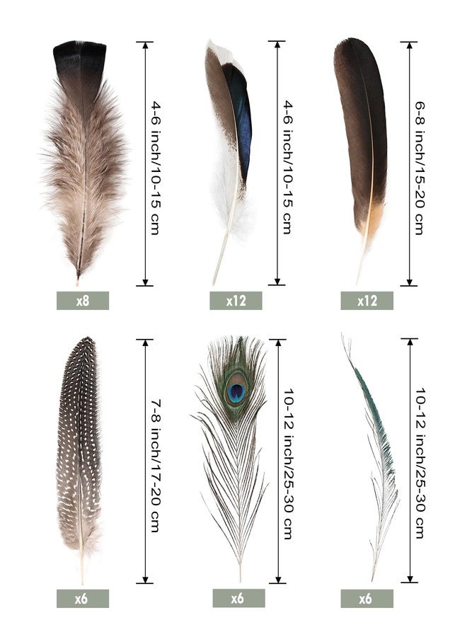 FeelfunFeather Pheasant Feathers -50pcs 6 Style Natural Mixed Decorative Spotted Feathers for DIY Crafts Wedding Home Party Decoration - Image 2