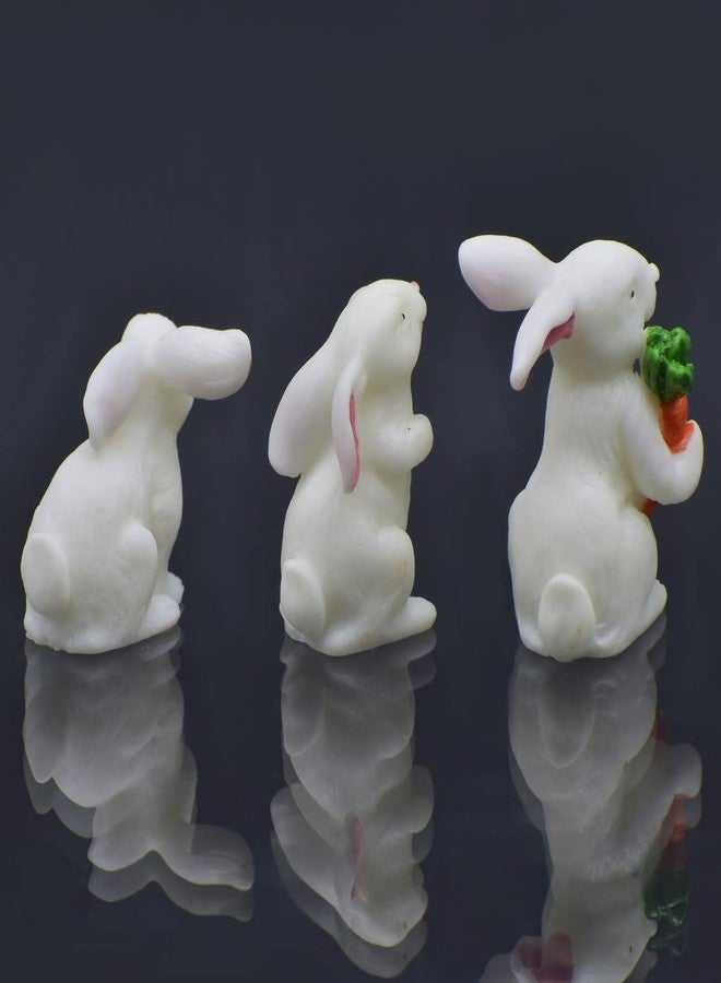 Prokart Model Plastic Accessories Rabbit 3Pcs(C0215-3/4/5) RABBIT-4P - Image 3