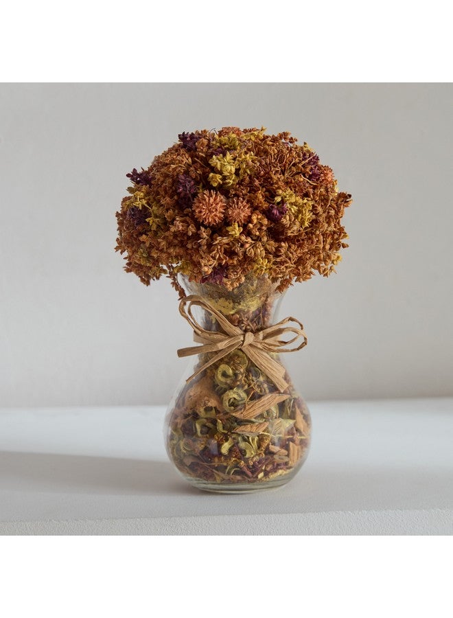 Home Box عشب كافن مختلط في فازة زجاجية مع بودرة عطرية 15 × 15 × 21 سم  - Image 2