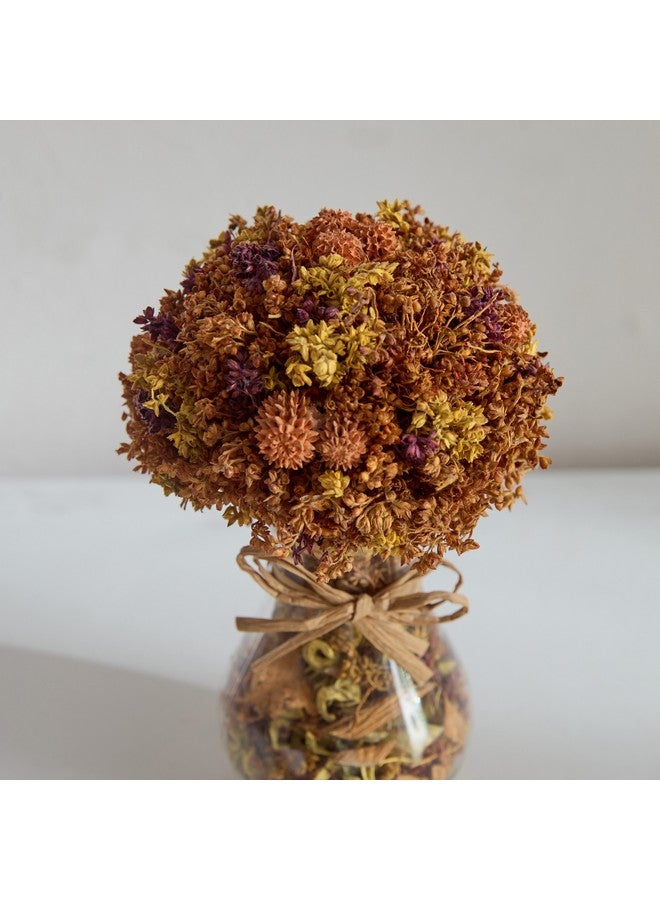 Home Box عشب كافن مختلط في فازة زجاجية مع بودرة عطرية 15 × 15 × 21 سم  - Image 3