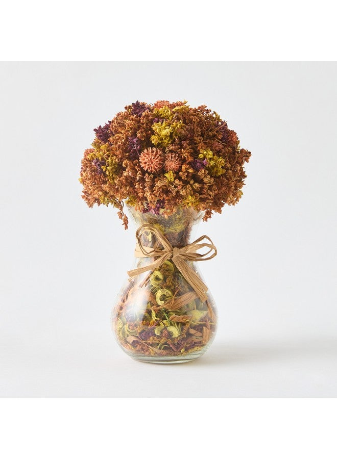 Home Box عشب كافن مختلط في فازة زجاجية مع بودرة عطرية 15 × 15 × 21 سم  - Image 5