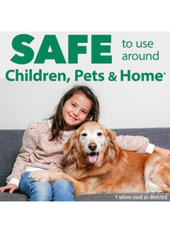 Hartz Hartz Nature’s Shield Flea & Tick Home Spray, Natural and Effective Flea & Tick Prevention and Home Protection with Cedarwood and Lemongrass Oil, 32 Ounces  - Image 5