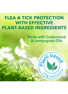 Hartz Hartz Nature’s Shield Flea & Tick Home Spray, Natural and Effective Flea & Tick Prevention and Home Protection with Cedarwood and Lemongrass Oil, 32 Ounces  - Image 4