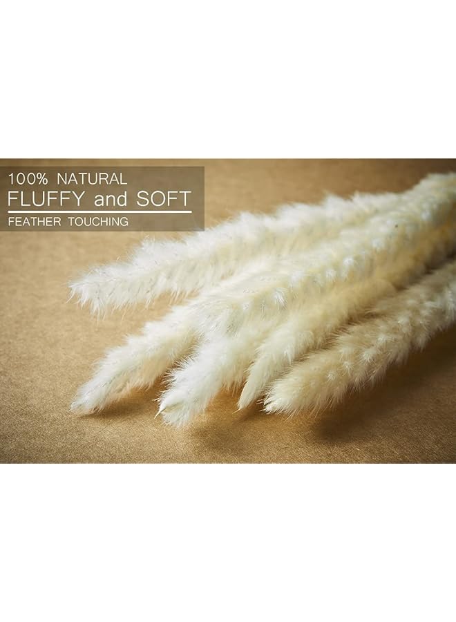 erorex 30 Pcs Faux Pampas Grass Large Artificial Pampas Grass Decor Tall Floor Vase Filler Dried Flowers For Flower Arrangements Wedding Home Party Decor White  - Image 5