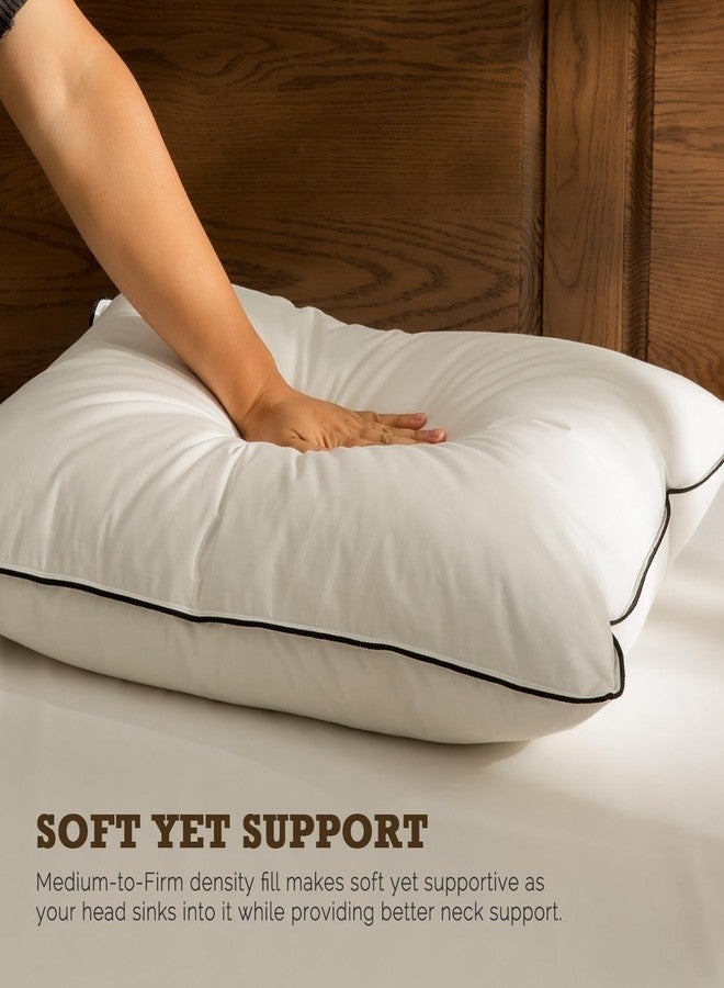 BPC Goose Feather Down Pillows Standard Size Set of 2, Luxury Hotel Pillows with 100% Organic Cotton Cover, Bed Pillow for Medium Firm Support & Cloud-Like Comfort, 20"x26" - Image 4