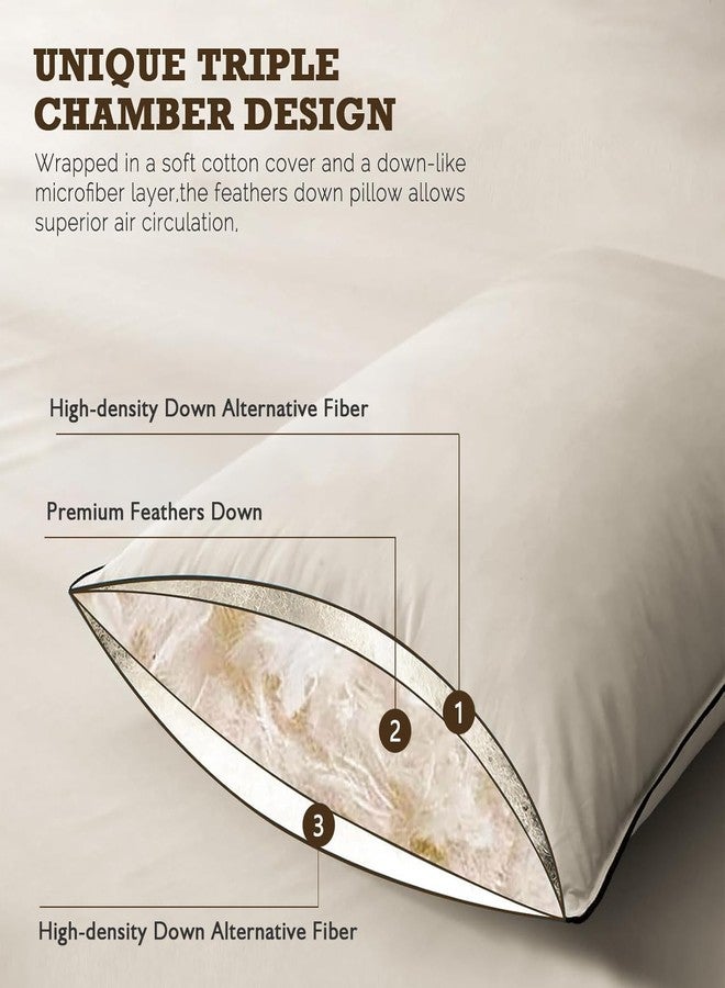 BPC Goose Feather Down Pillows Standard Size Set of 2, Luxury Hotel Pillows with 100% Organic Cotton Cover, Bed Pillow for Medium Firm Support & Cloud-Like Comfort, 20"x26" - Image 5