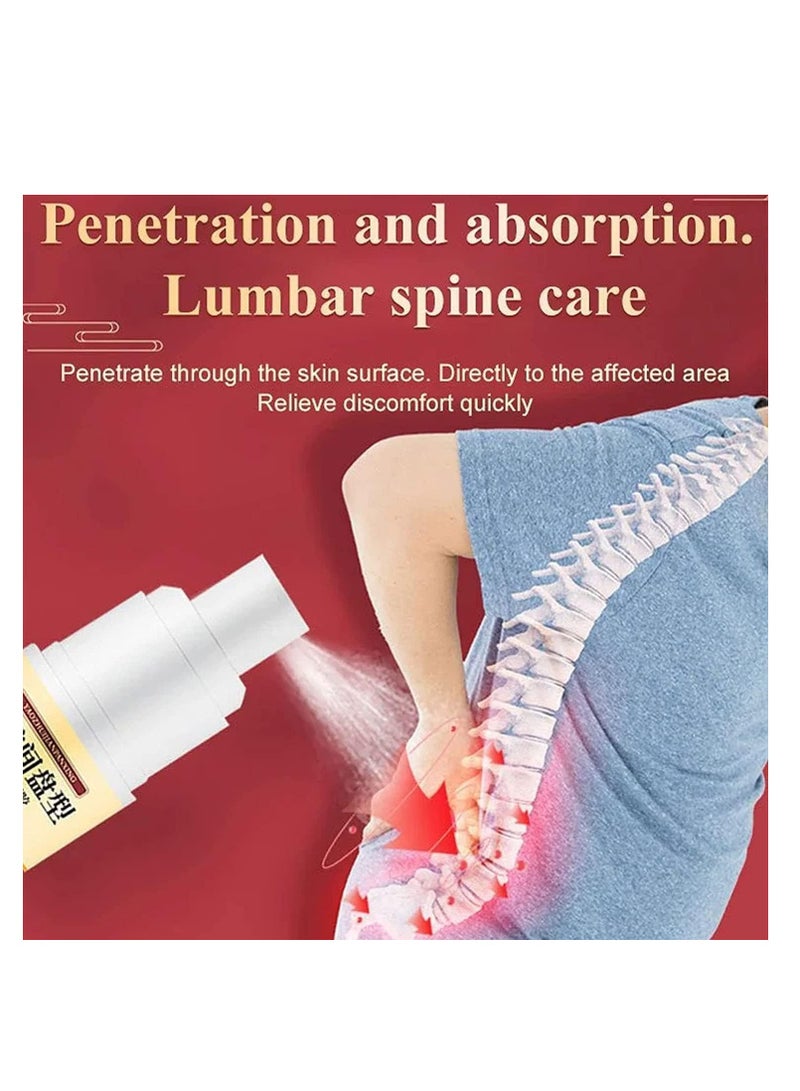 Sumifun 2pcs Lumbar Spine Cold Gel Spray, Back Pain Relief Products, Sciatica Pain Relief,Lower Back Pain Relief, Pain Relief Spray for Neck, Shoulder, Waist, Legs, and Joints  - Image 5