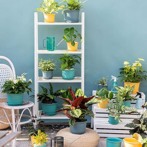 INKULTURE Plastic Round Flower Pots with Tray for Home Planters, Terrace, Garden Etc | Pack of 05 | Multicolor | Size 8 Inch | for Home Indoor & Outdoor Gardening Plants - Image 3