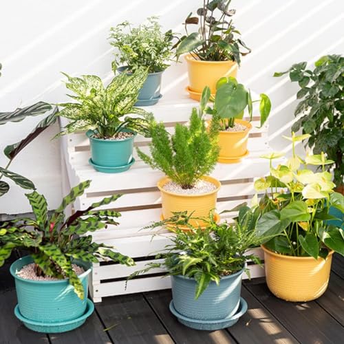 INKULTURE Plastic Round Flower Pots with Tray for Home Planters, Terrace, Garden Etc | Pack of 05 | Multicolor | Size 8 Inch | for Home Indoor & Outdoor Gardening Plants - Image 5