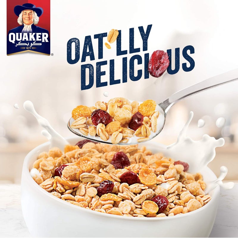 Quaker Cereal Cranberry 400 Grams - Image 2