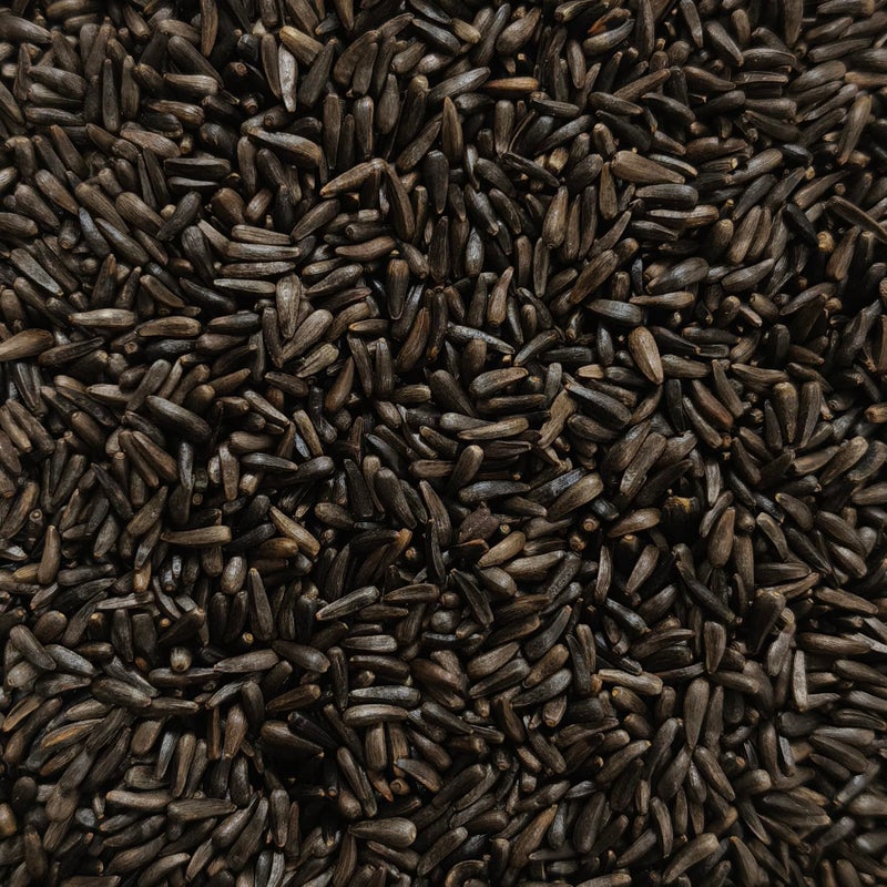 Happy Wings Nyjer/Thistle Seeds Wild Bird Food - 5 Pounds I No Grow Seed I Bird Seed for Wild Birds - Image 4
