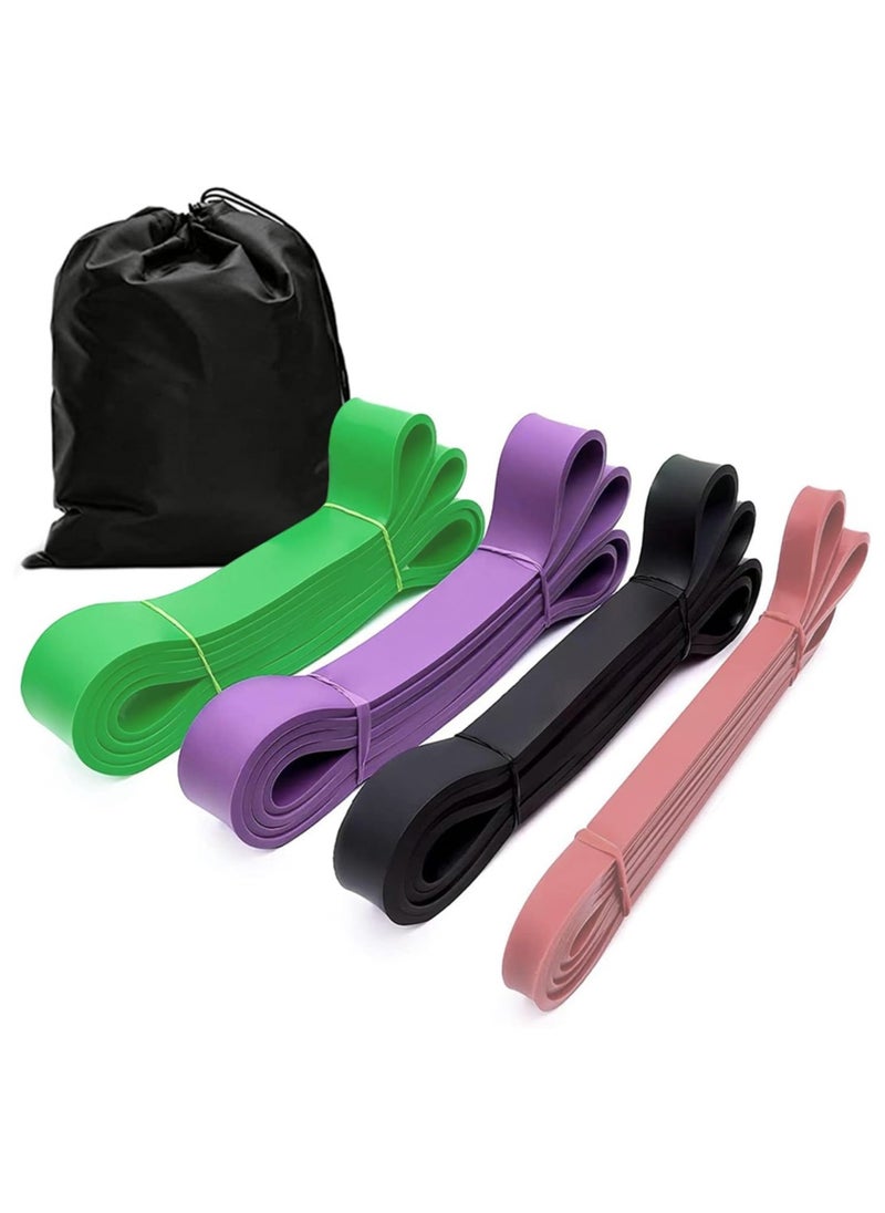 Sky Land Pull Up Resistance Exercise Bands| Set Of 4 Multicolor Heavy Duty Loop Bands, Stretch Bands For Power Lifting Workout With Storage Bag, EM-9356  - Image 1