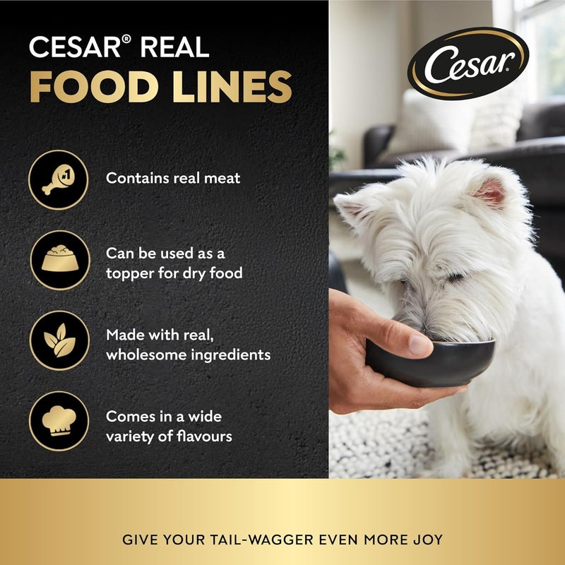 Cesar طعام الكلاب الرطب من سيزار - 6 صواني بوزن 100 جرام - Image 3