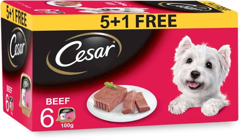Cesar طعام الكلاب الرطب من سيزار - 6 صواني بوزن 100 جرام - Image 1