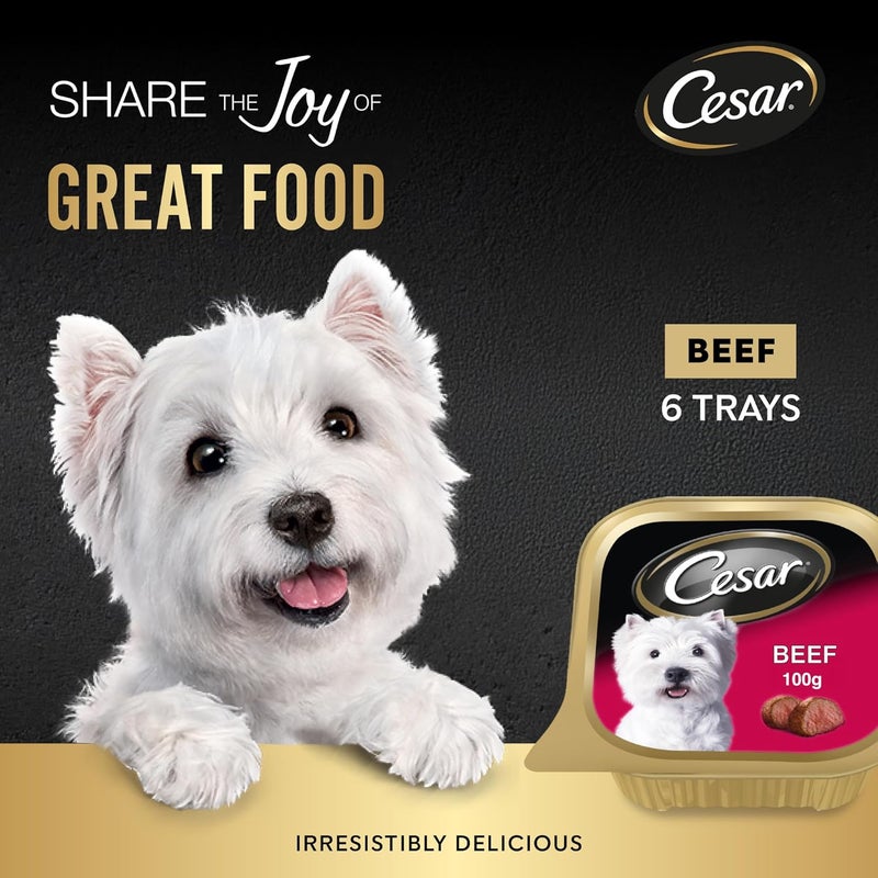 Cesar طعام الكلاب الرطب من سيزار - 6 صواني بوزن 100 جرام - Image 2