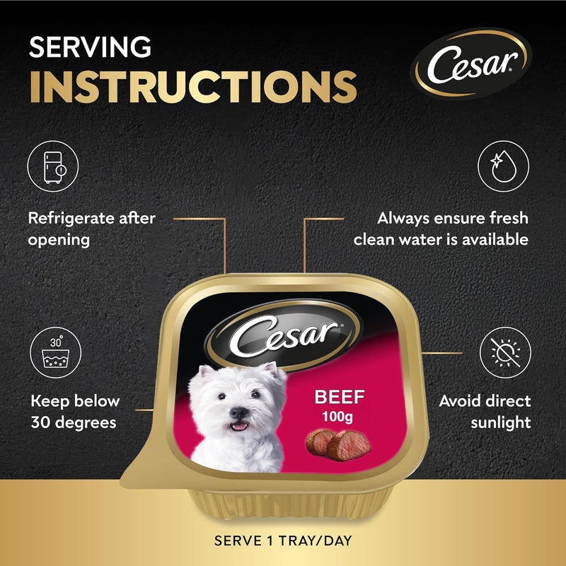 Cesar طعام الكلاب الرطب من سيزار - 6 صواني بوزن 100 جرام - Image 5