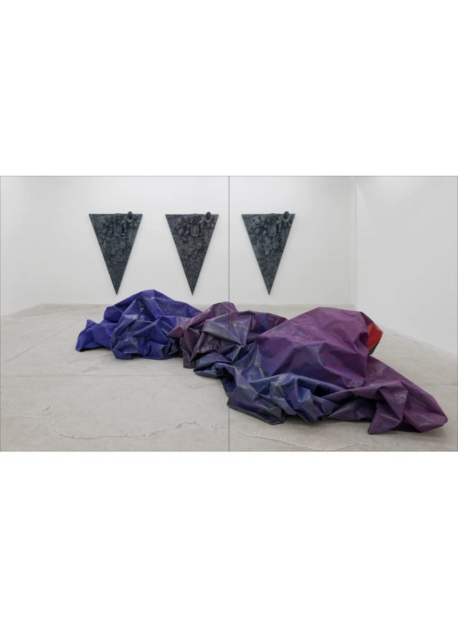 Isabelle Cornaro  - Image 3