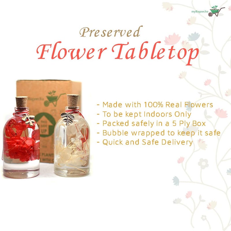myBageecha Crimson Yin Yang Set of 2 Preserved Tabletop Natural Long Lasting Flower Red White Sustainable Eco Friendly Home Decor Gift Glass 10cm x 5 cm - Image 3