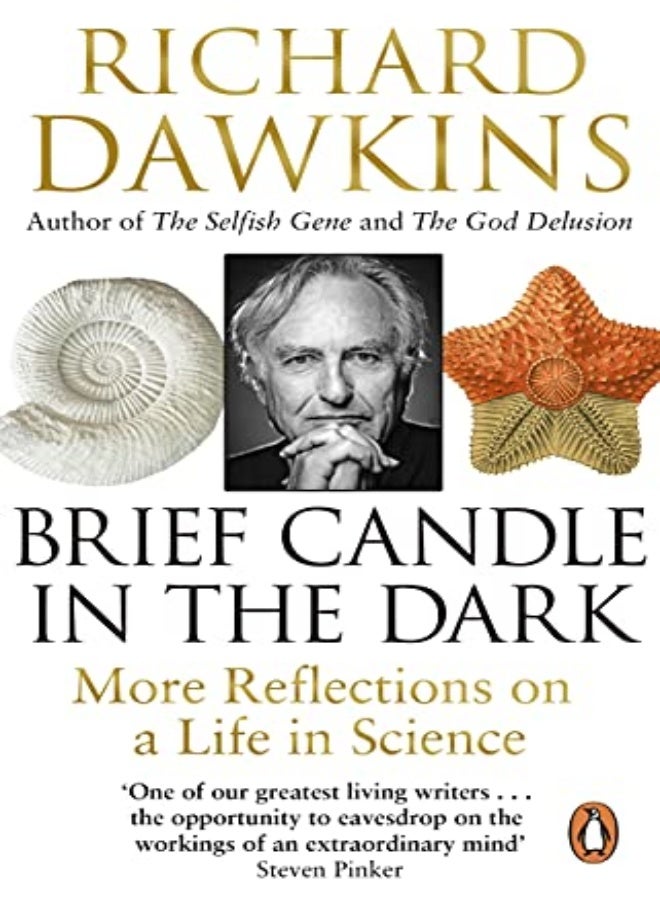 Brief Candle in the Dark 