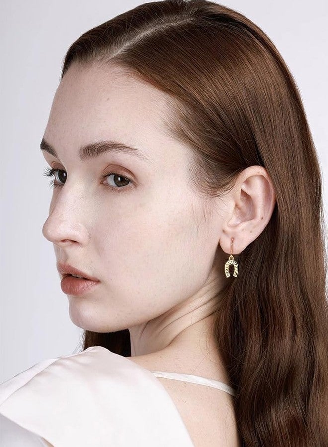 OIDIMS Cute Horseshoe Dangle Drop Earring for Women Gold-Tone Plated CZ Cubic Zirconia Hook Dangling Earrings Sparkling Crystal U-shaped Unique Gift Jewelry Birthday Valentine's Day Graduation - Image 2