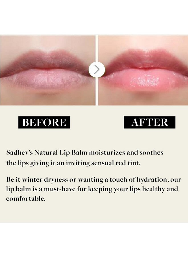 Sadhev Organic Lip Balm For Dry Chapped Lips With Beetroot And Coconut Extract - 5g (Pack of 1) - Image 4