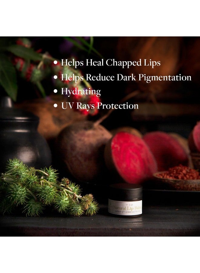 Sadhev Organic Lip Balm For Dry Chapped Lips With Beetroot And Coconut Extract - 5g (Pack of 1) - Image 3
