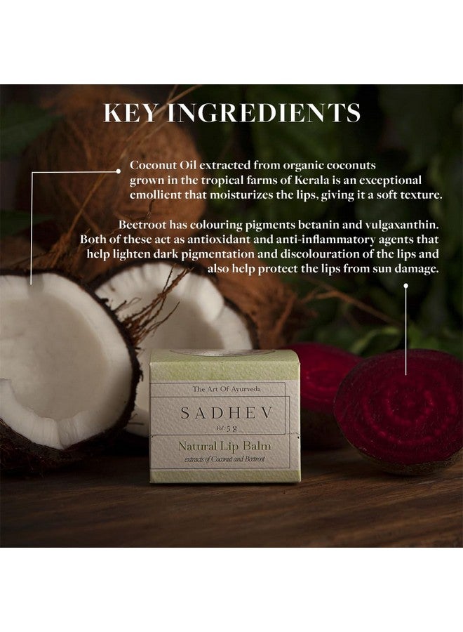 Sadhev Organic Lip Balm For Dry Chapped Lips With Beetroot And Coconut Extract - 5g (Pack of 1) - Image 2