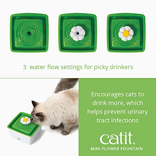 Catit 2.0 Mini Flower Drinking Fountain – Cat Water Fountain with Triple Filter and Ergonomic Drinking Options,Green - Image 3