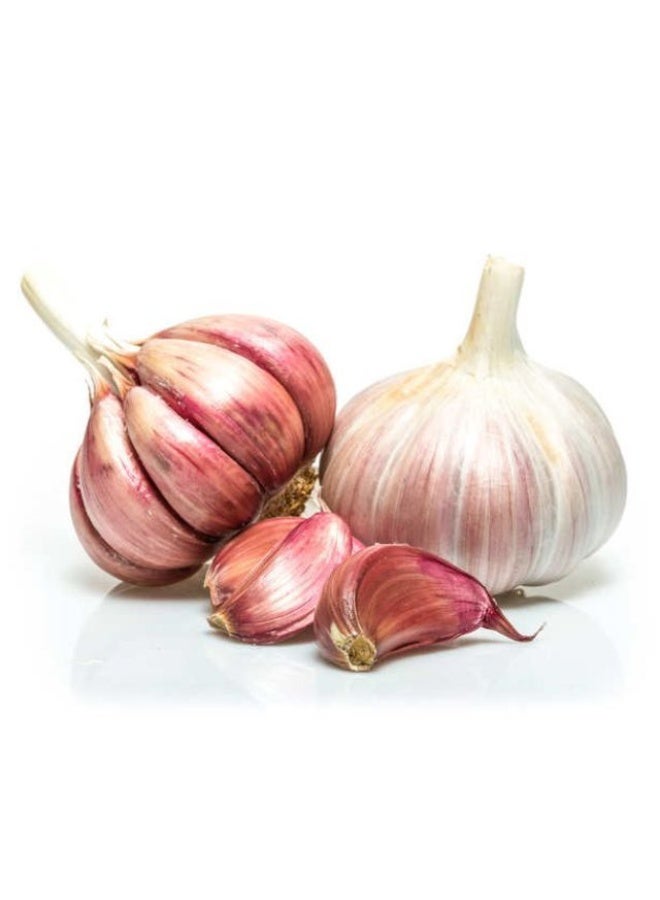 Purple Garlic    170g- 3 Pieces