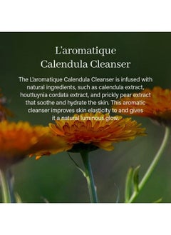 arencia Lromatique Calendula Rice Cake Fresh Cleanser Moisturizing & Deepcleansing Made With Rice Water Rice Powder Korean Herb Natural Vegan Crueltyfree  - Image 4