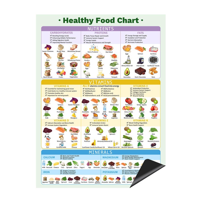 Healthy Food Chart Magnet Informative Nutrition Vitamins Minerals Fridge ChartNutrition PostersKitchen Conversion Chart16 x 12