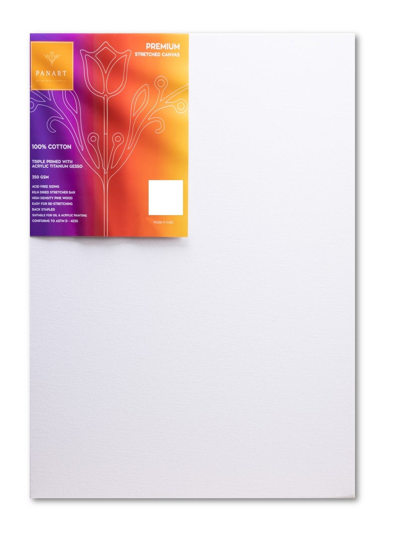 Panart قماش قطن مشدود ممتاز بحجم A3 - Image 1