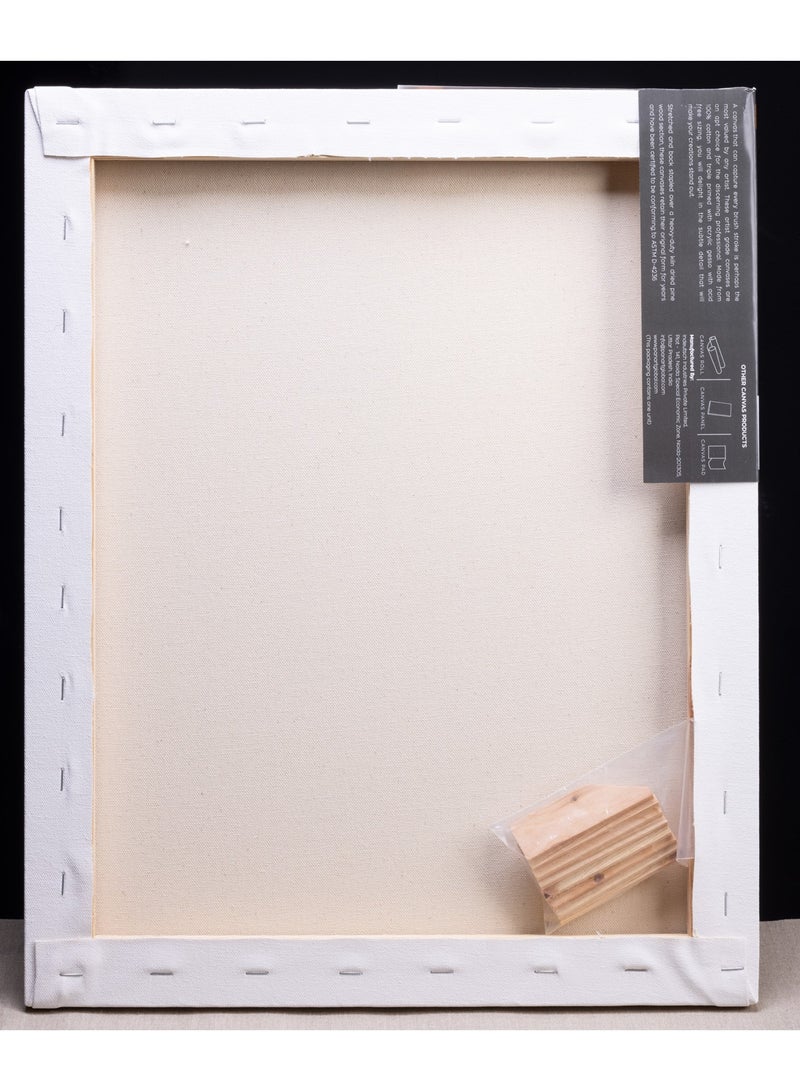 Panart قماش قطن مشدود ممتاز بحجم A3 - Image 4