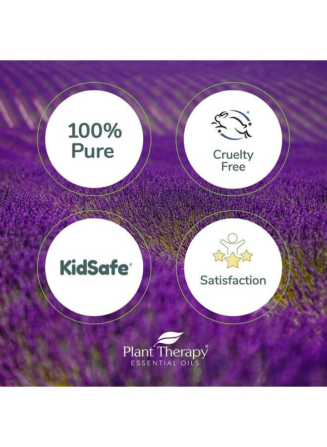 Plant Therapy Lavender Essential Oil 100% Pure, Undiluted, Natural Aromatherapy, Therapeutic Grade 30 mL (1 oz)  - Image 2