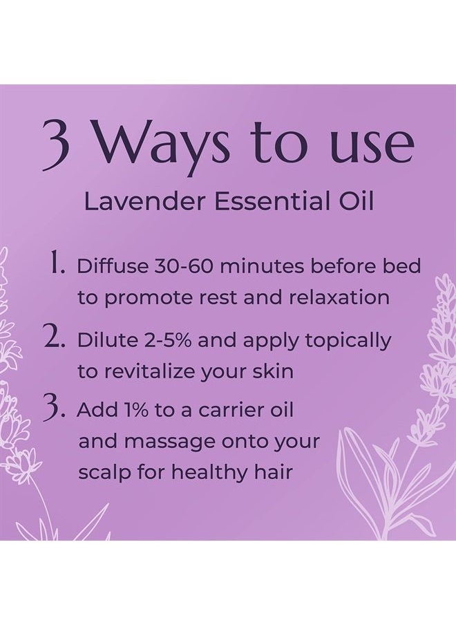 Plant Therapy Lavender Essential Oil 100% Pure, Undiluted, Natural Aromatherapy, Therapeutic Grade 30 mL (1 oz)  - Image 1