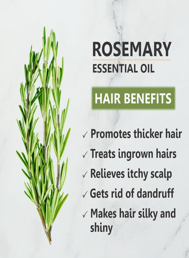 Skiura nature Rosemary Essential Oil for Hair Growth, Hair Fall Control, Hair Nourishment & Strengthen and Skin Care- Rosemary Oil 15 ML - Image 3