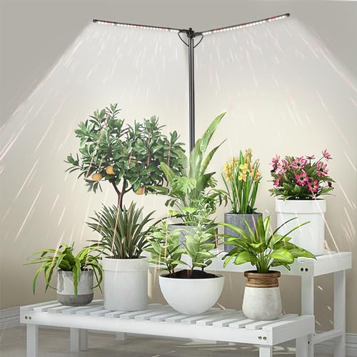 bodkar Plant Grow Lights for Indoor Plants Full Spectrum with 3/6/9H Timer & Dimming, Slim Plant Lights for Indoor Growing with 6000K White Red LEDs for Various Plants - Image 1
